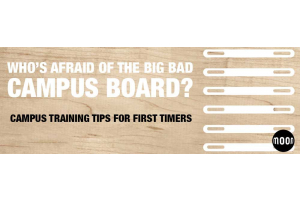 A Beginner's Guide To Campus Boarding