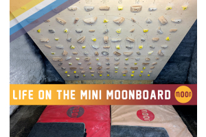 Life on the Mini Moonboard 